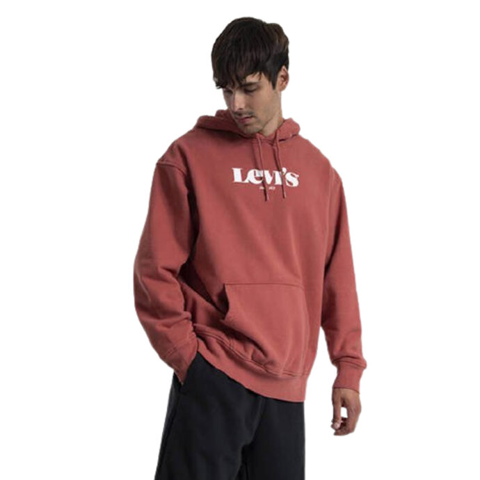 Levi's® Τ2 Relaxed Graphic Hoodie